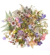 160pcs Pre-Cut Scrapbooks Natural Stickers
