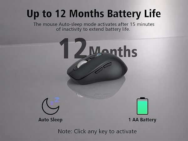 computer mouse