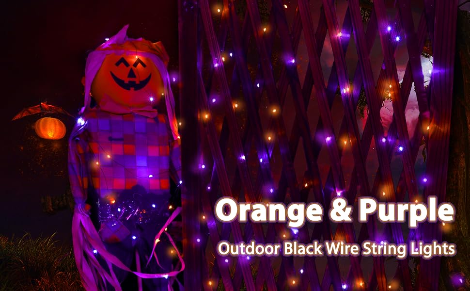 Orange Purple Light