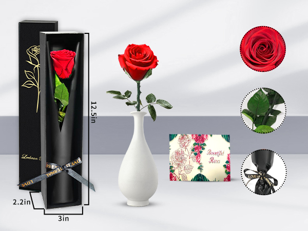 preserved rose