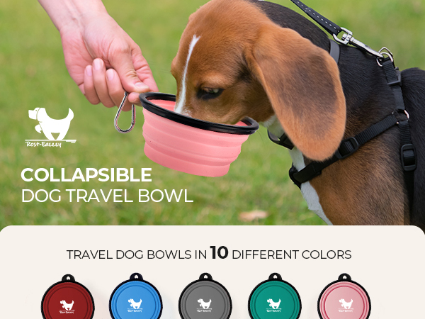 collapsible dog bowls travel portable water bowl foldable feeding dish carabiner clip