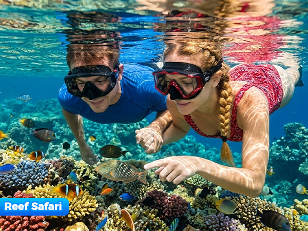 Snorkel Set, Pano 3 Window Snorkel Mask, Anti-Fog Diving Goggles and Snorkel Snorkeling Gear