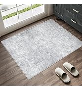 PureCozy 2x3 Entryway Area Rug Vintage Washable Small Carpet Indoor Non Slip Grey Kitchen Entranc...