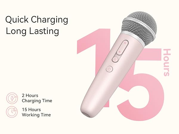 karaoke stereo mic
