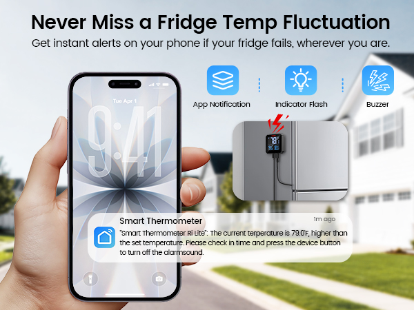 Refrigerator thermometer