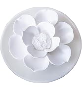 Passive Oil Diffuser for Essential Oil-Non-Electric Porcelain Aromatherapy Diffusers for Small Mi...
