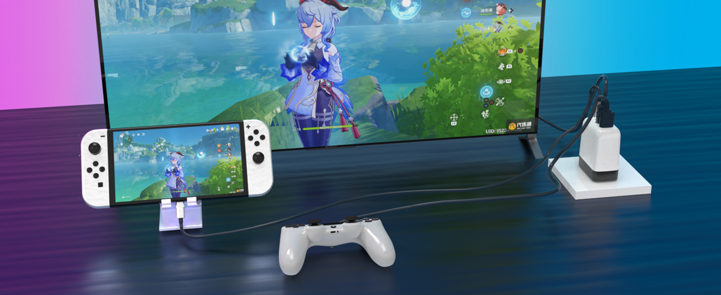 Switch Dock Mode