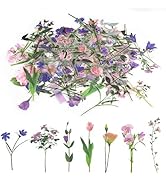 80 Pieces Natural Flower Stickers for Scrapbooking, Self-Adhesive Scrapbooking Stickers Supplies ...