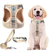 PUPTECK Adjustable Dog Harness Collar and Leash Set Step in No Pull Pet Harness for Small Medium ...