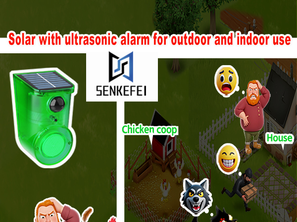 motion sensor alarm outdoor