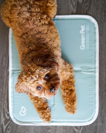 Cool Pet Pad