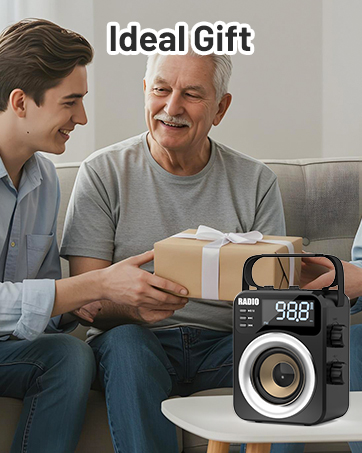 Portable Radio