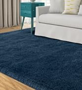 Shag Rug 9x12