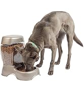Petmate Pet Cafe Feeder Dog and Cat Feeder Pearl Tan, 12 lb, Made in USA