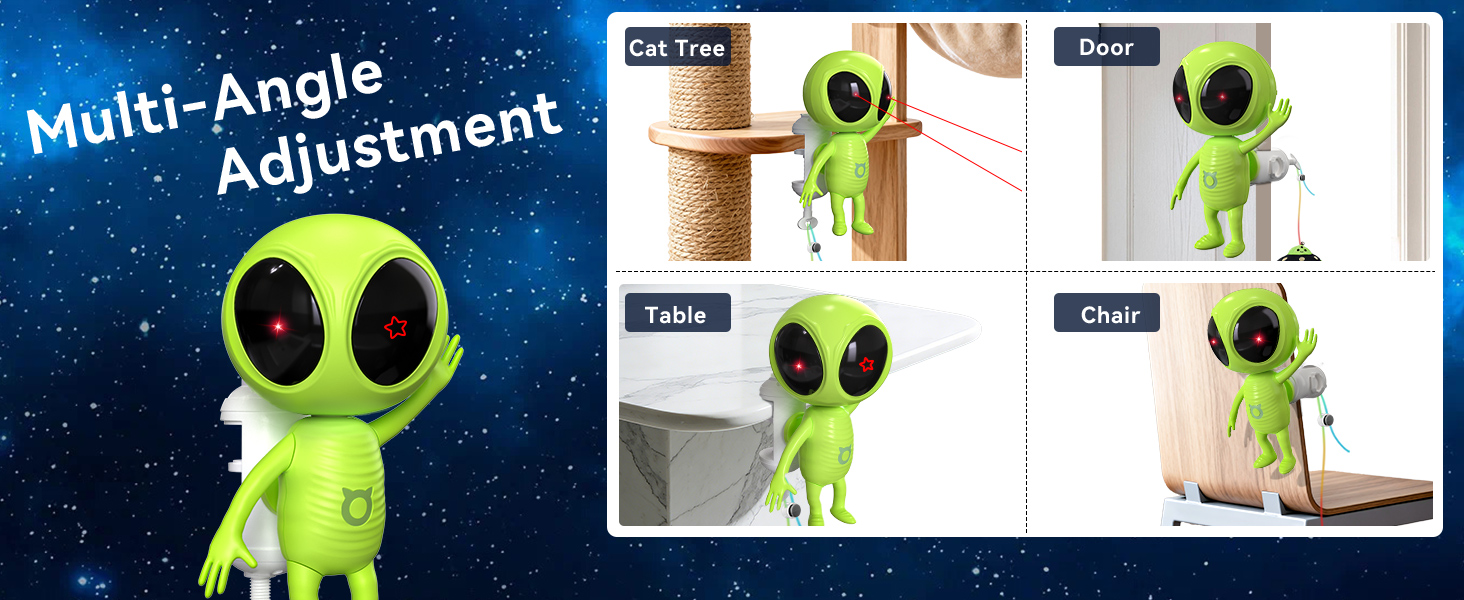 cat toys