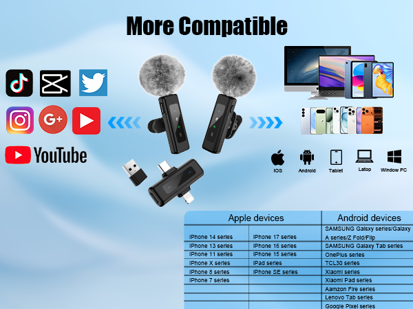 mini mic