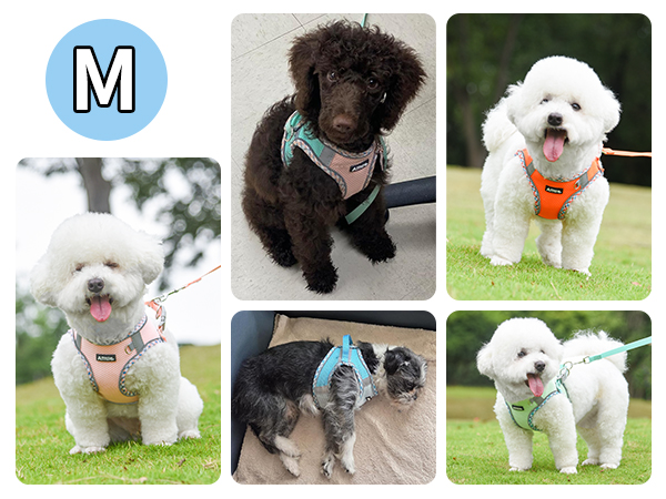 AIITLE Teacup Puppy Harness with Leash - Adjustable Soft Vest with Magic Velcro