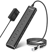 RSHTECH 10-Port Powered USB C 3.2 Hub 60W with 10Gbps USB 3.2 Ports(6C+4A) | Individual ON/OFF Sw...