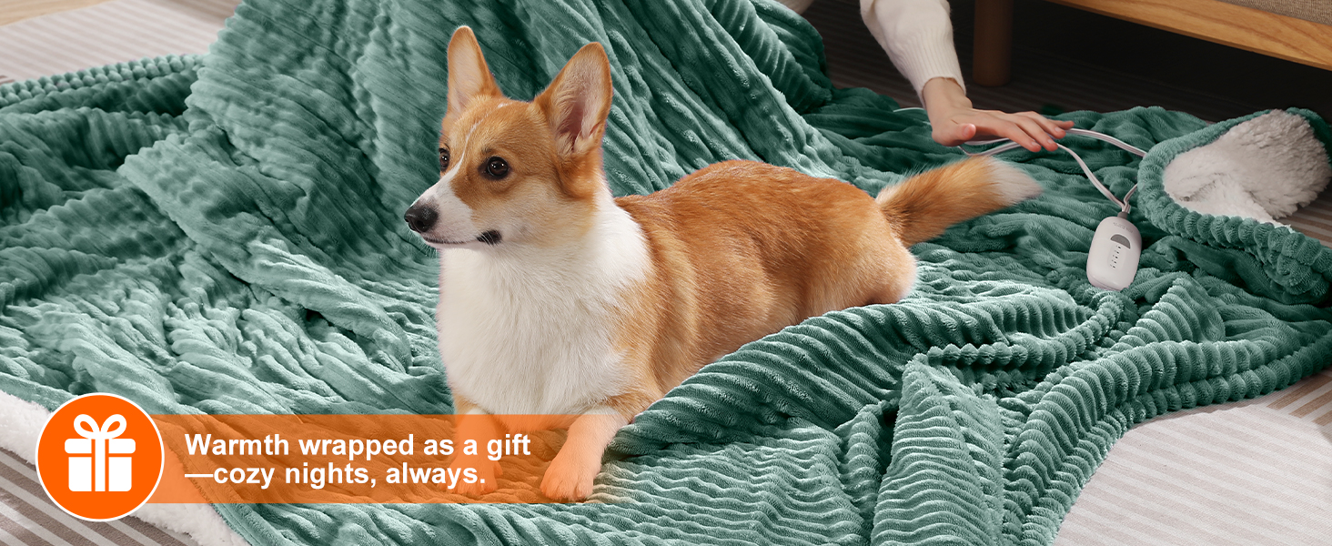 electric blanket twin size heated blanket twin size twin electric blanket twin heated blanket kids