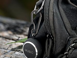 titanium carabiner