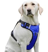 PenSeepet Dog Harness No Pull Dog Harness with 2 D-Ring,Adjustable Reflective Soft Padded Dog Ves...