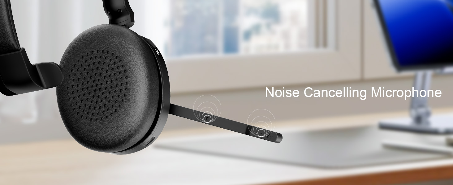 noise cancelling microphone for class
