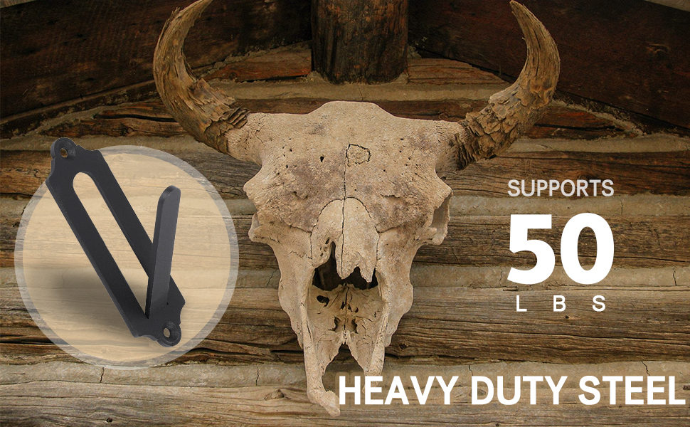 european mount skull hanger