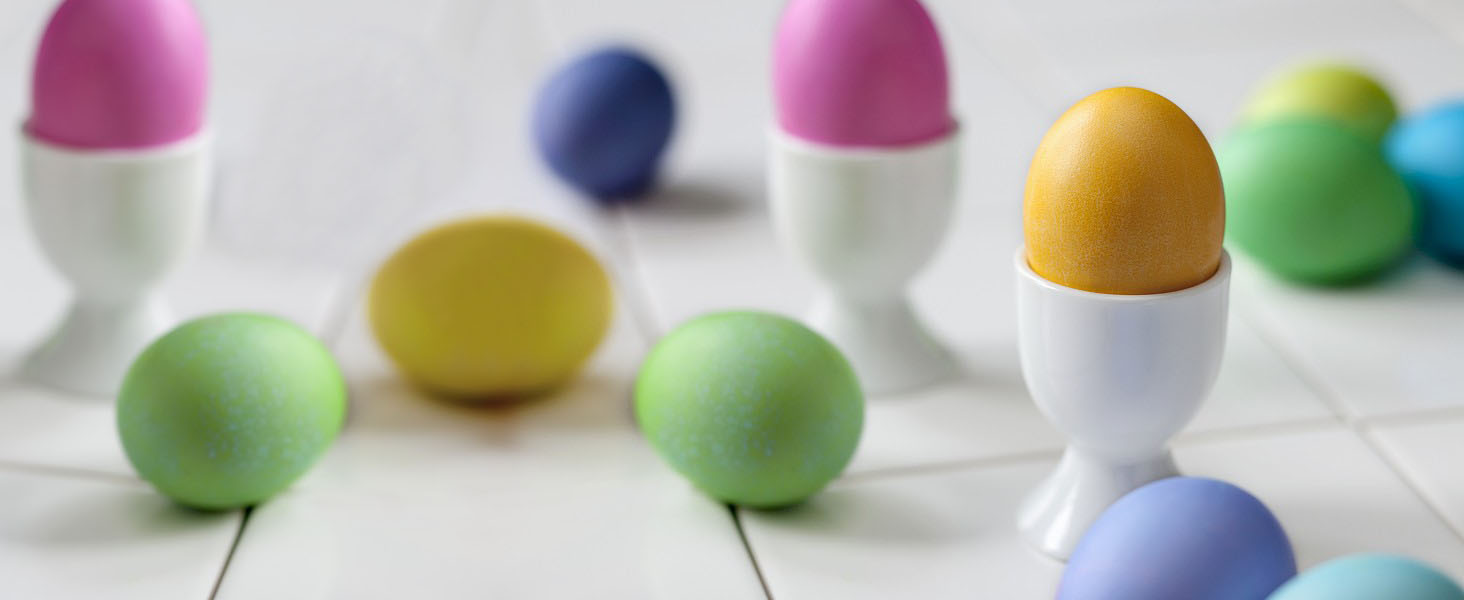 egg cup holder