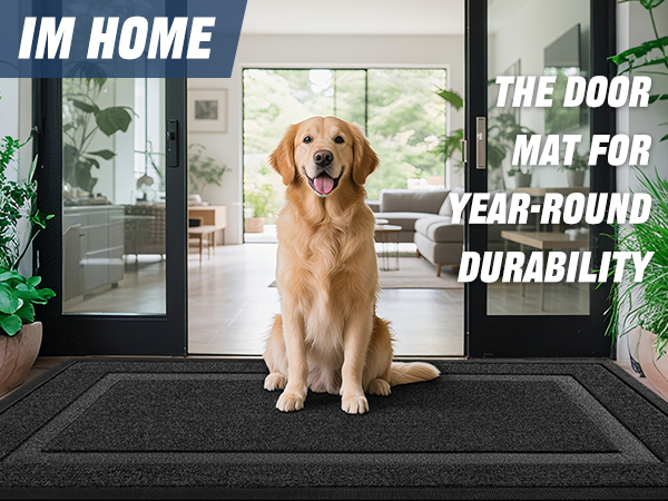 rugs for entryway