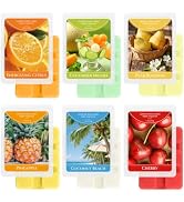 SCENTORINI Wax Melts, Scented Wax Cubes for Wax Warmers, Summer Scent Wax Melts, Coconut Beach, P...