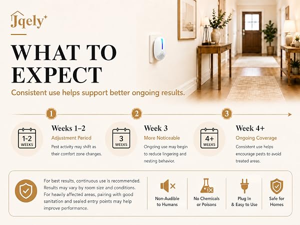 What to expect