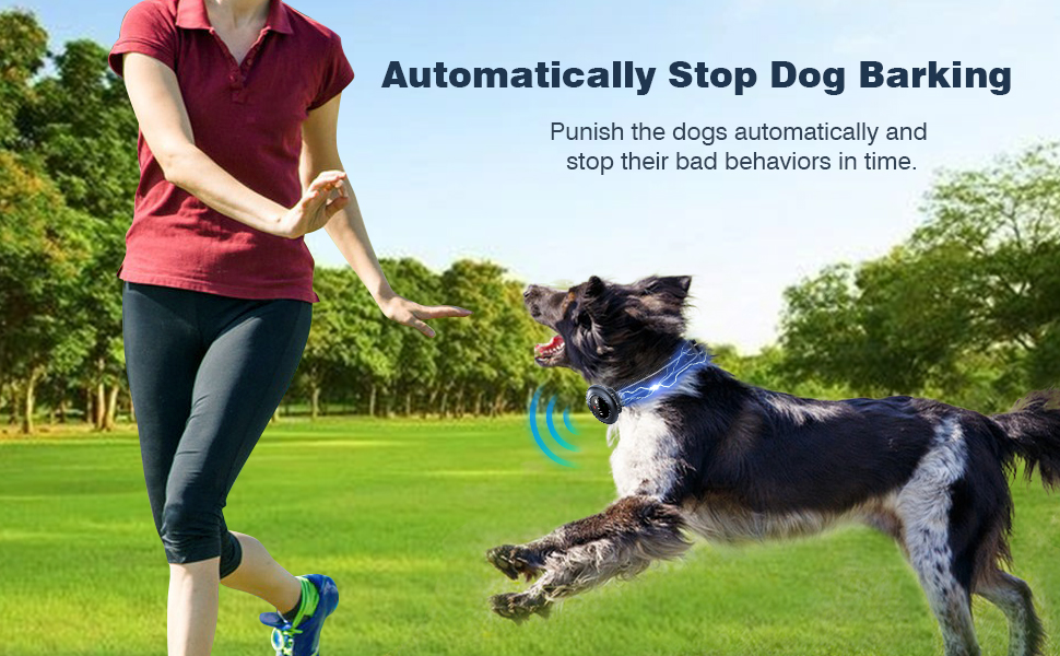 colofrog dog shock collar smart dog bark collar rechargeable e collar with remote