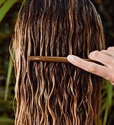 LATHER Mint Thyme Shampoo Hair Wash - Invigorating Sulfate-Free Gentle Shampoo - Natural Shampoo ...