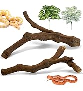 Apatal Snake Climbing Branch 2 Pcs Reptile Wood Branches Decor Wooden Ball Python Tank Accessorie...