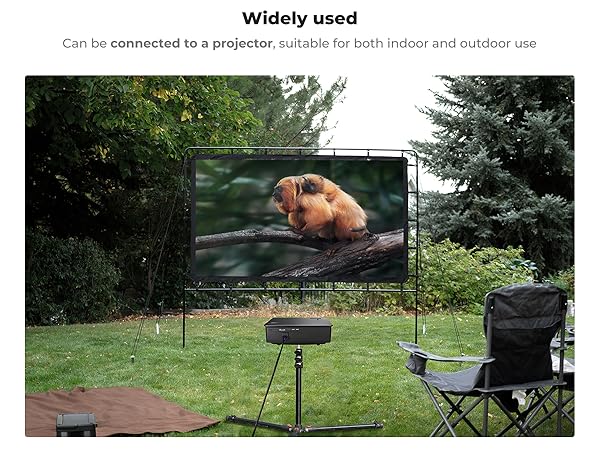 Outdoor projection screen setup in a backyard, displaying an image of an animal. Screen stands on grass with a projector, blanket, and folding chair nearby.