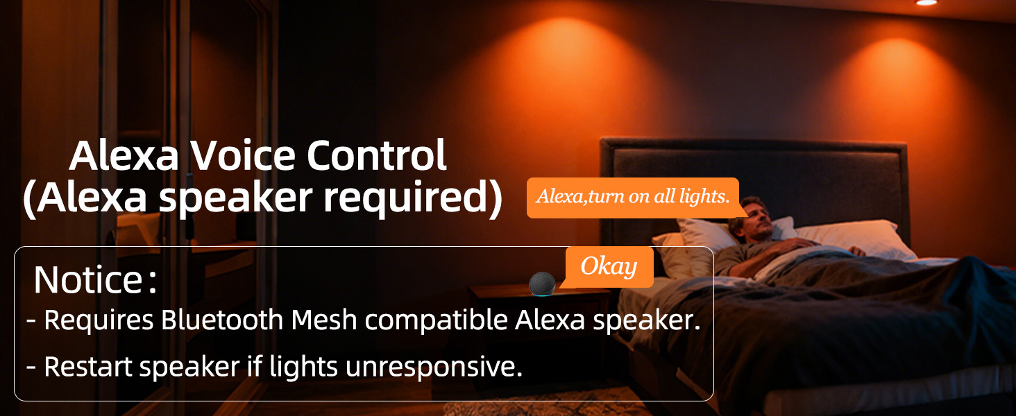 Alexa Voice Control