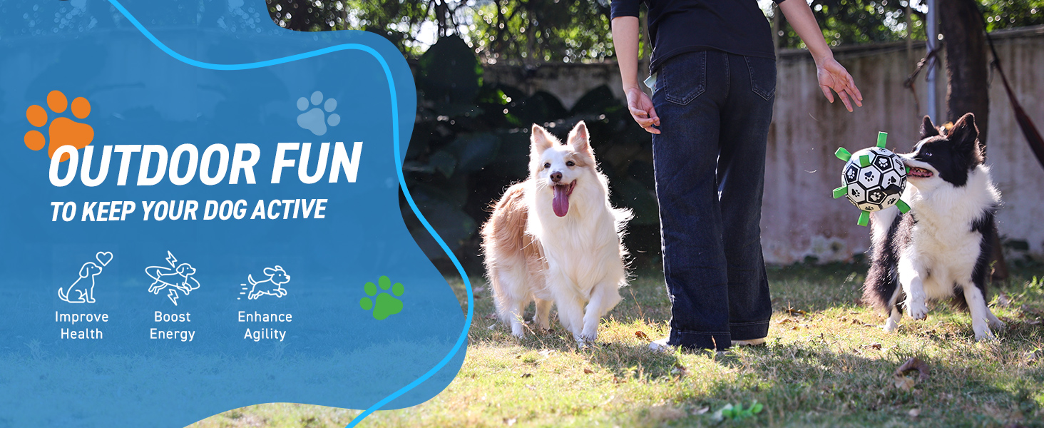 Outdoor toys for dogs