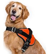rabbitgoo Dog Harness for Large, Easy On Pet Vest with One Buckle, No Pull Adjustable Service Har...