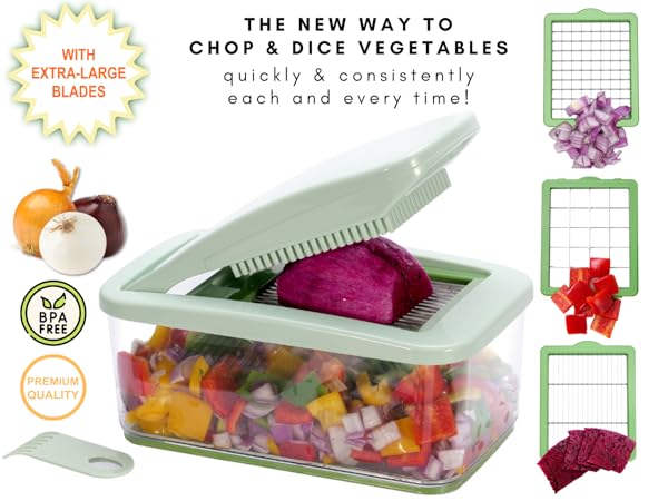 Brieftons QuickPush Food Chopper (BR-QP-03)