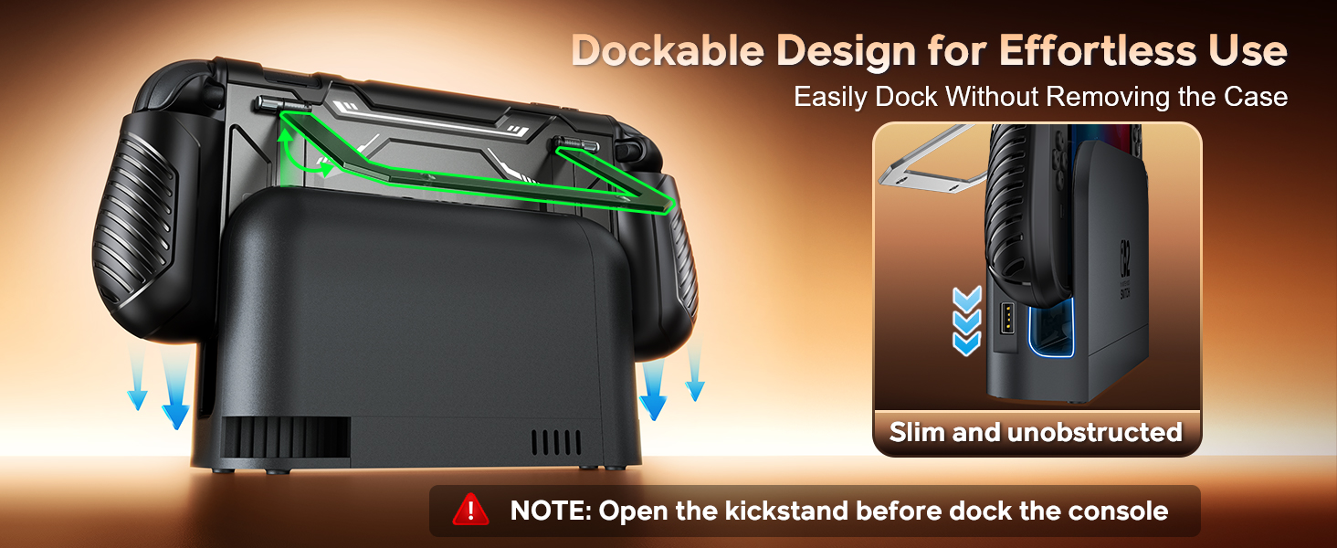switch 2 dockable case