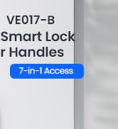 Smart Front Door Lock Set,