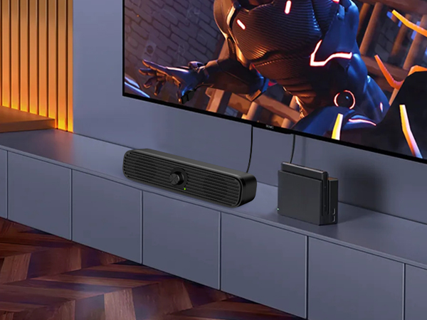 Computer Speakers