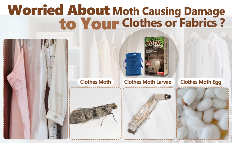 clothes moth repellent moth traps