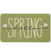 Kuyuayee Spring Bird Welcome Door Mat 30x17 Inch Hello Spring Front Doormat Indoor Outdoor Entran...