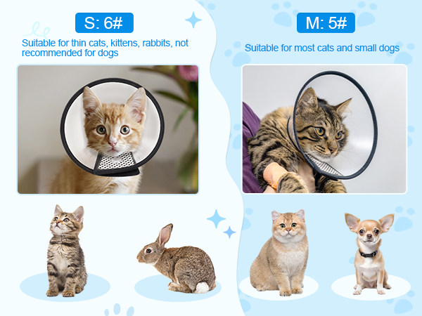 pet cones for cats