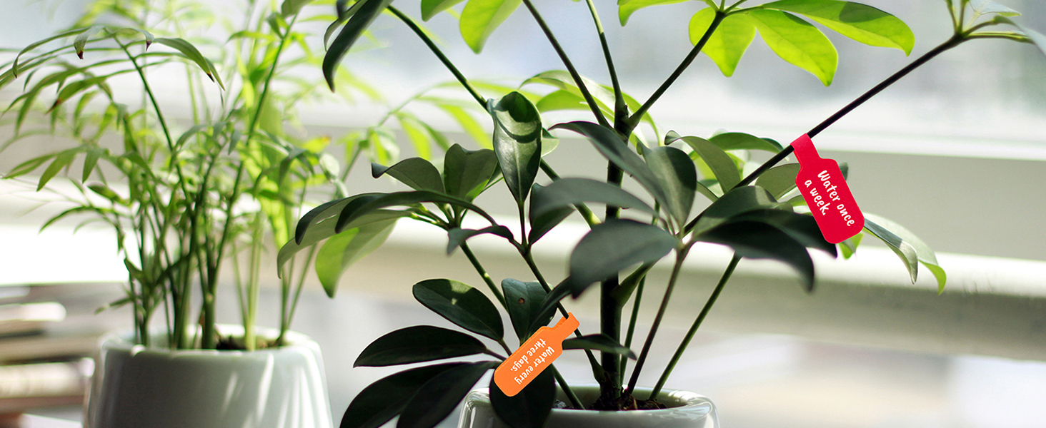 cable labels cord labels
