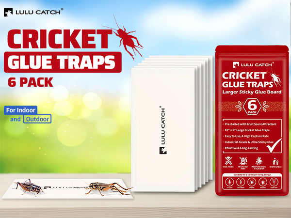 Cricket Traps Indoor