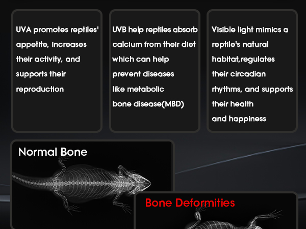 uvb light for reptiles