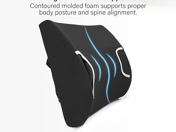 Ergonomic Back Support