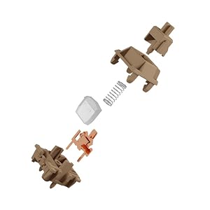 tactile switches